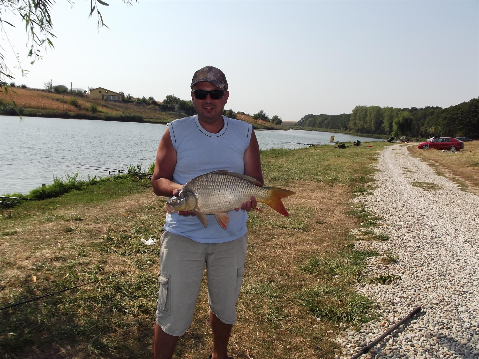 M.Vlasiei 2011 - 36-kg-crap.JPG